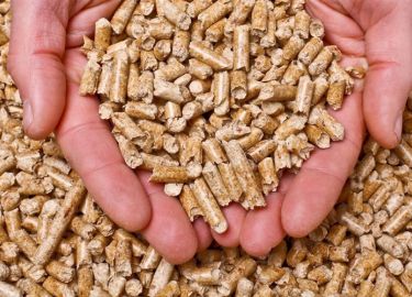 pellets